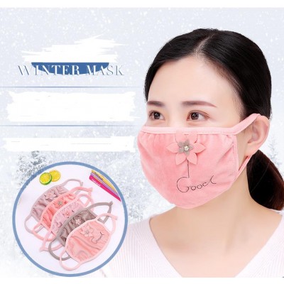 Autumn and winter new cartoon embroidery ladies mask cold-proof warm crystal velvet protective mask wholesale